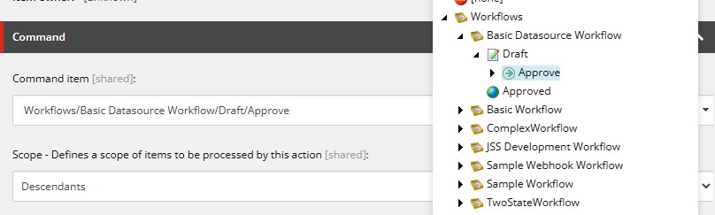 Command item field Command item field