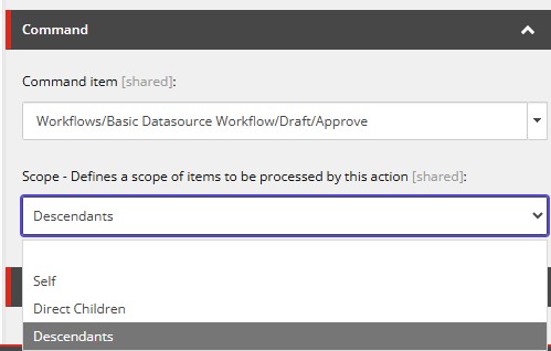 Scope field Scope field